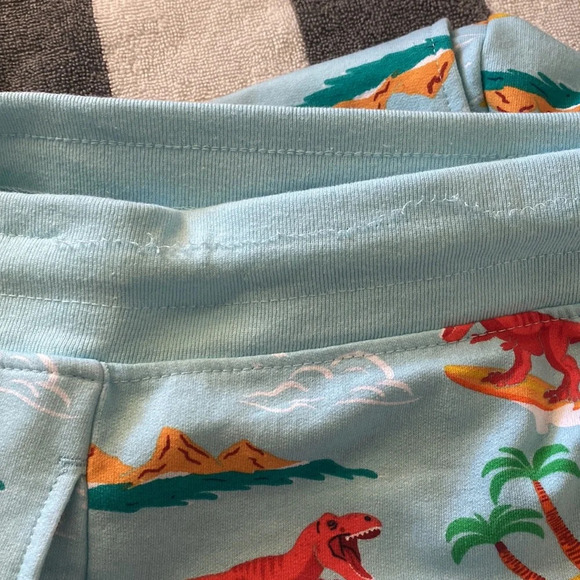 No Boundaries Lounge Shorts dinosaurs size XL 40-42 unsex - Picture 9 of 12